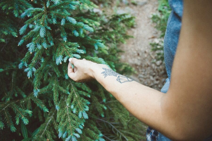 Close-up of a person with a tattoo on their arm gently holding a pine branch, symbolizing the importance of keeping memories of loved ones alive. The pine branch is in honor of the person's grandmother, who described herself as 'resilient like a windswept pine tree.'