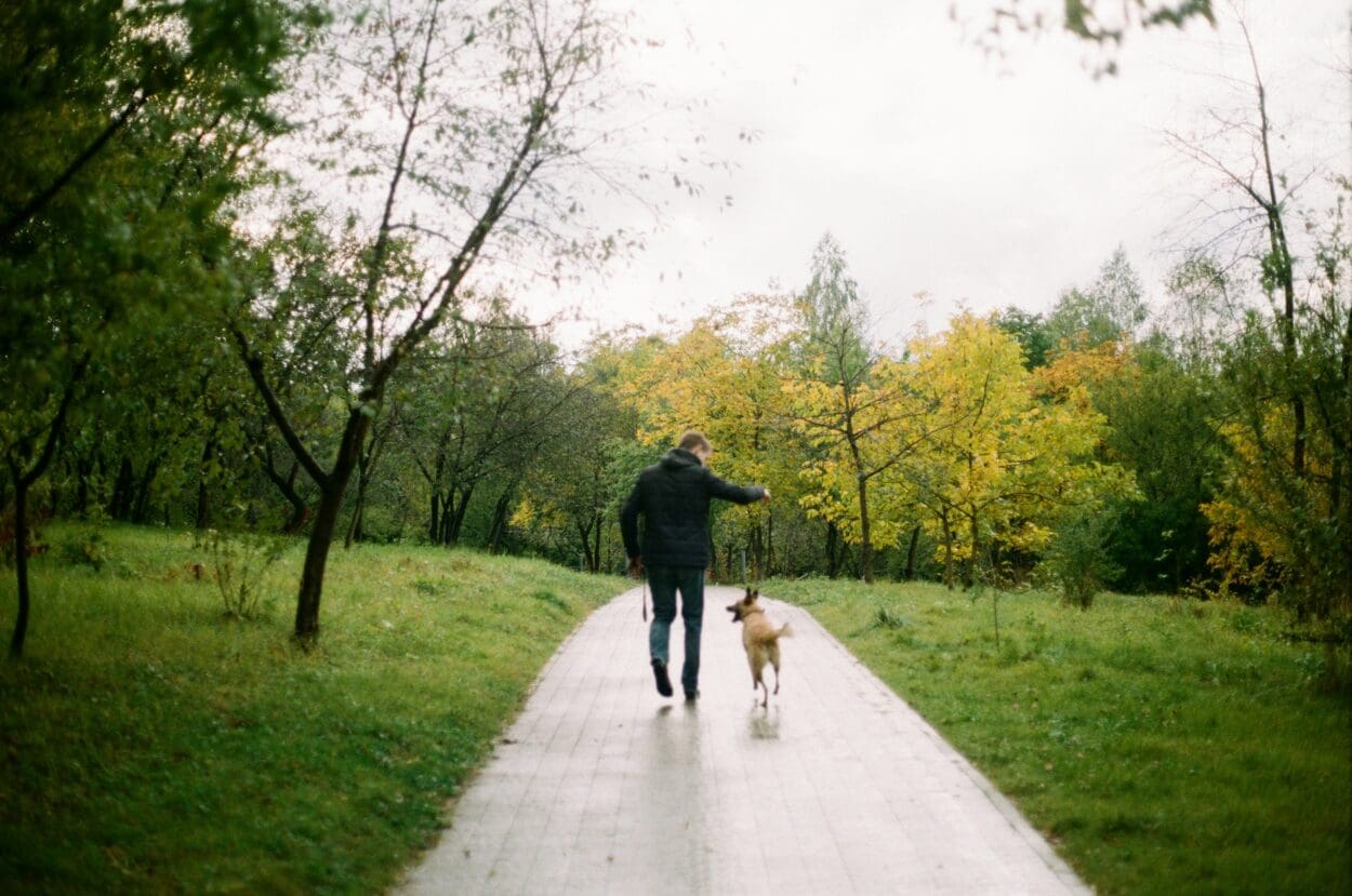 A man walking with his dog on a peaceful, tree-lined path in autumn, symbolizing companionship and the support needed when grieving the loss of a pet.