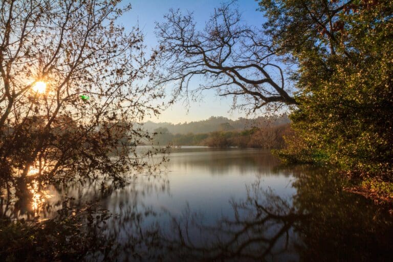 A scenic view of the lush, green landscape of Galicia, Spain, representing the profound themes of death, grief, and continuing life in a culturally rich setting.